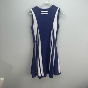 Susana Monaco Blue Sweater Dress, Size Small